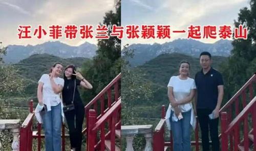 娱乐吃瓜爱情故事小说,爱在娱乐圈的甜蜜碰撞