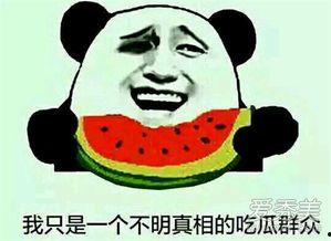吃瓜群什么意思是什么,网络社交新现象背后的文化解读