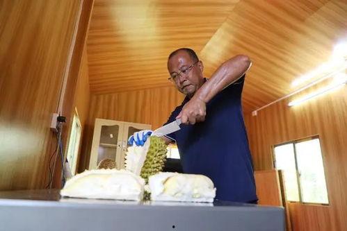 国产熟,匠心独运的味蕾之旅  第2张