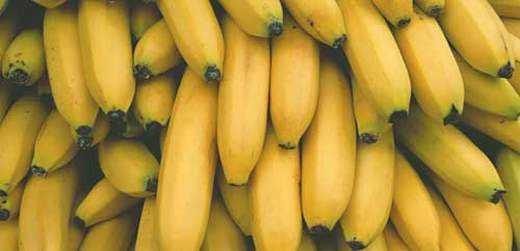国产香蕉网,探索中国香蕉产业的魅力与未来  第3张