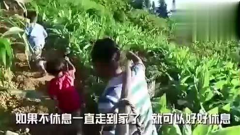 贵州娱乐吃瓜事件视频,揭秘幕后真相与网络热议