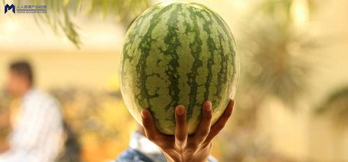 最近娱乐圈的吃瓜