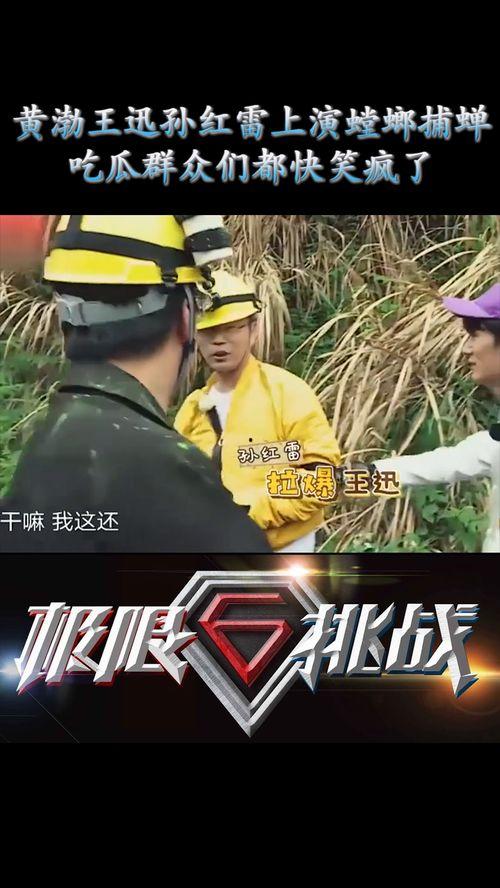 吃瓜群众笑娱乐,娱乐界的欢乐盛宴